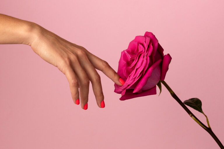 Quando potare le rose? Ecco il segreto per una fioritura abbondante
